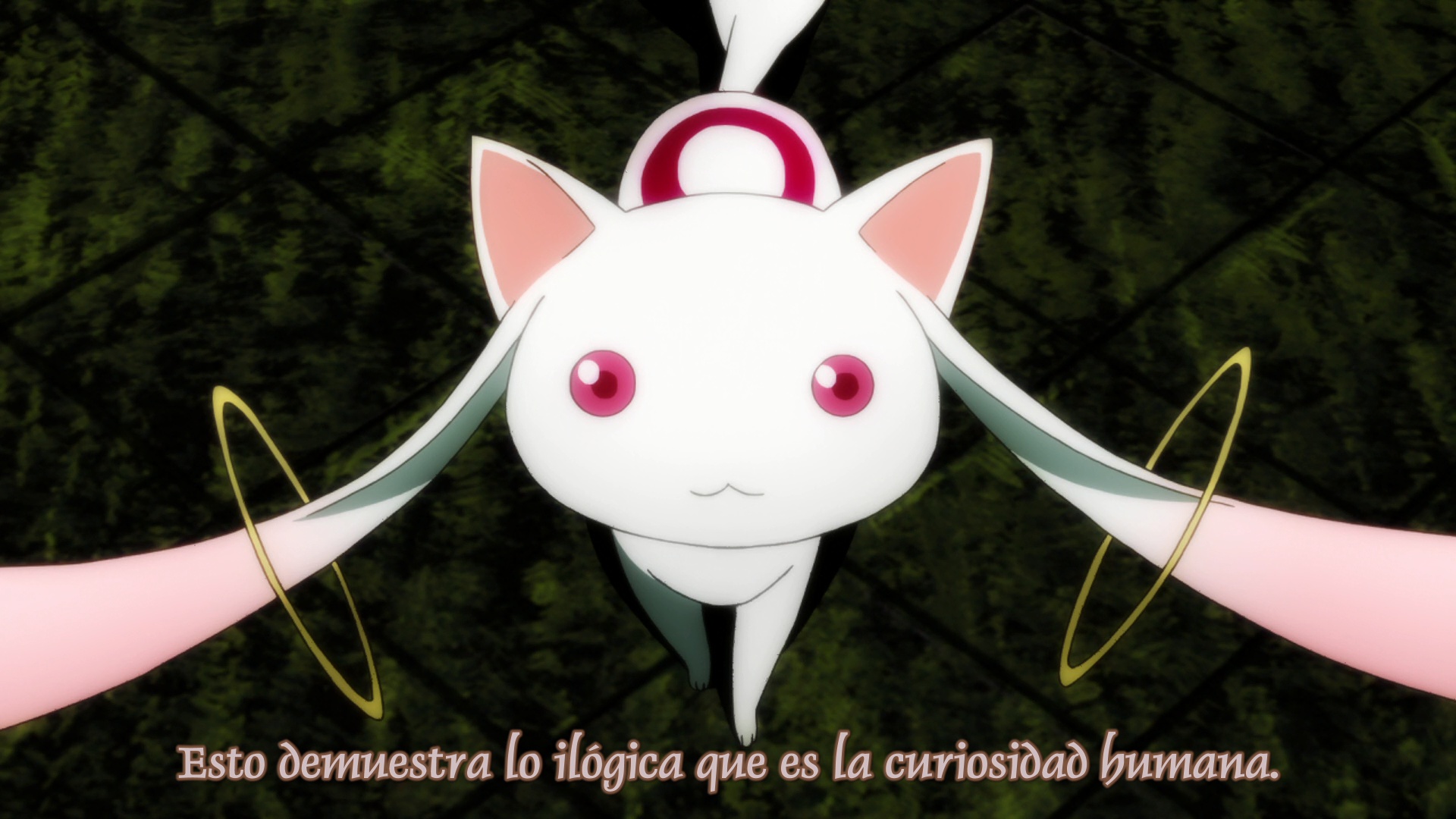 Puella Magi Madoka Magica la Película (Parte 3) - La historia de la rebelión (Dokusai)